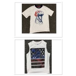 Two boys size 8 Fourth 4th of July TRex dinosaurs patriotic tank top and teeshirt