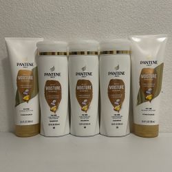 Pantene Shampoo & Conditioners 