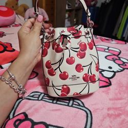 Coach Cherry Mini Bucket