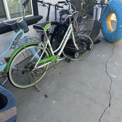 Bike With Dog Wagon