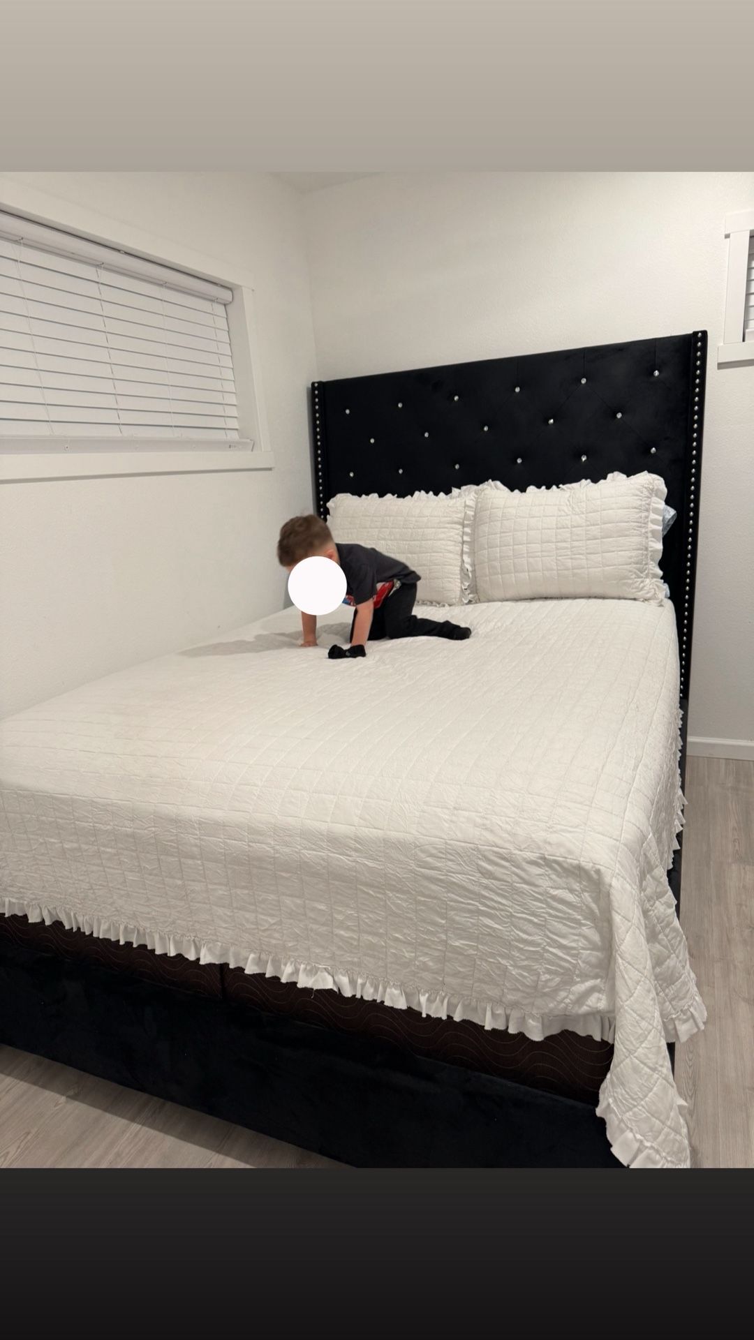 Bed frame & Mattresses