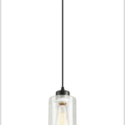 Modern black farmhouse pendant light with glass shade (45)