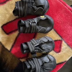 Dog Shoes 