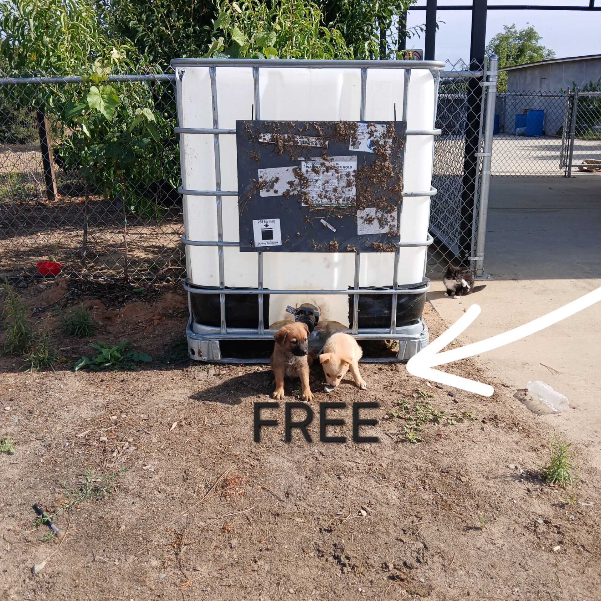 275 water container