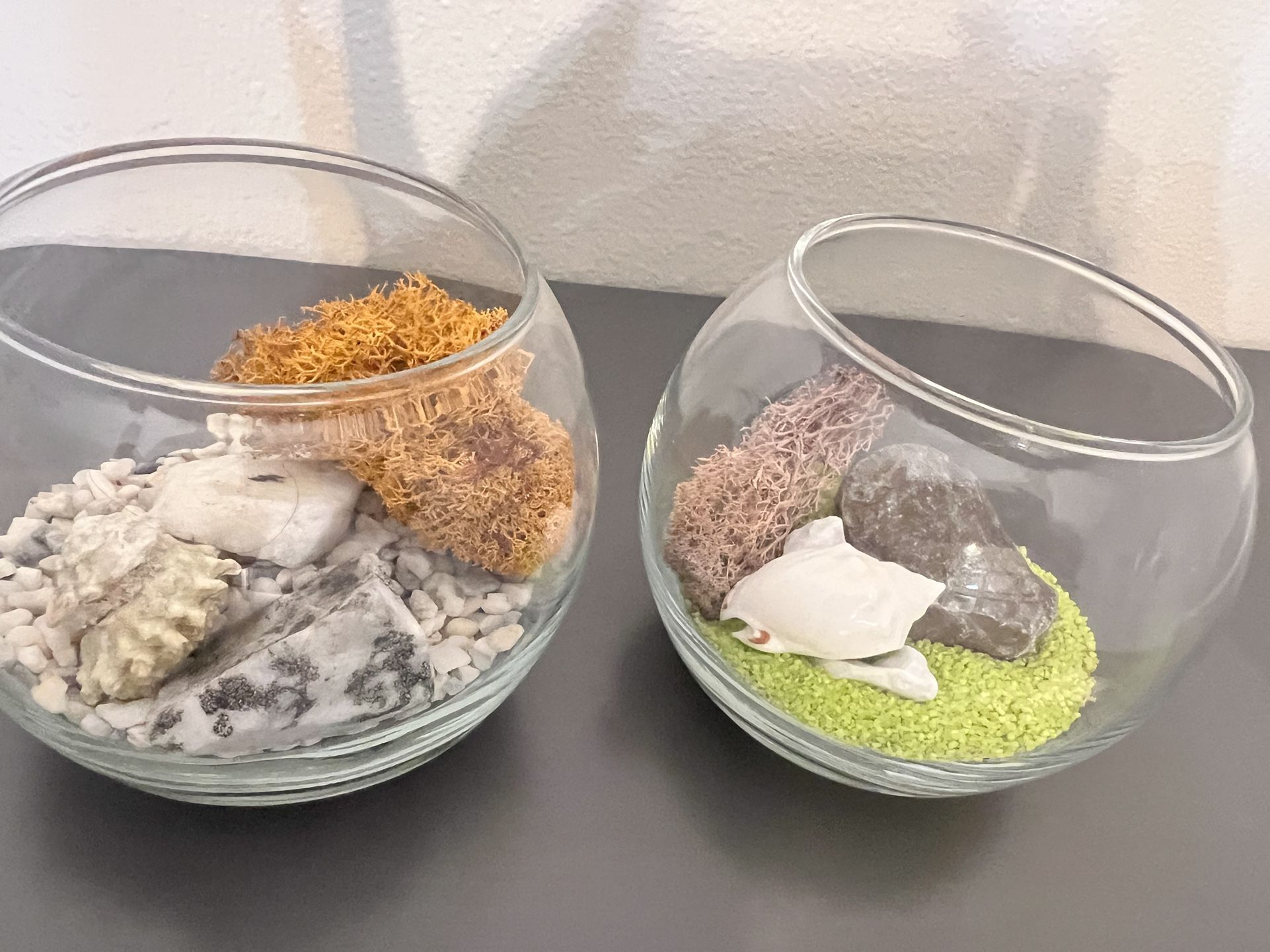 Set of 2 Contemporary Decorative Bowls With Natural Sand Rocks And Moss