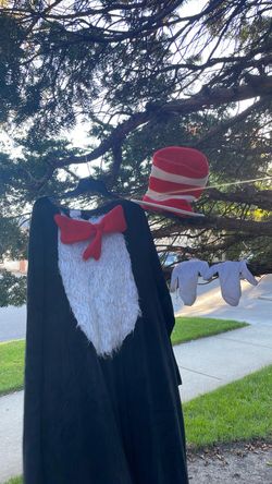 Dr. Seuss costume