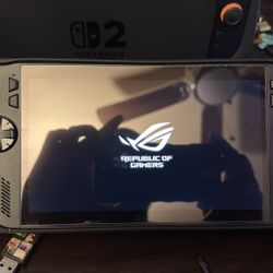 Asus Rog Ally X 24gig Ram 2tb Storage