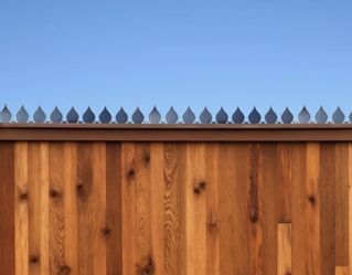 Security fence spikes
