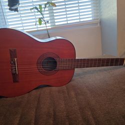 Beginner Acoustic Guitar 