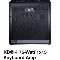 Peavey Amp