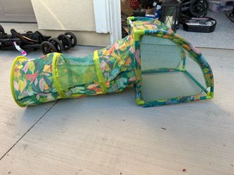 Cat Tunnel