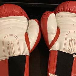 Everlast Boxing Gloves 