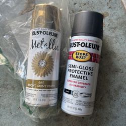 Rust-oleum Spray Paint