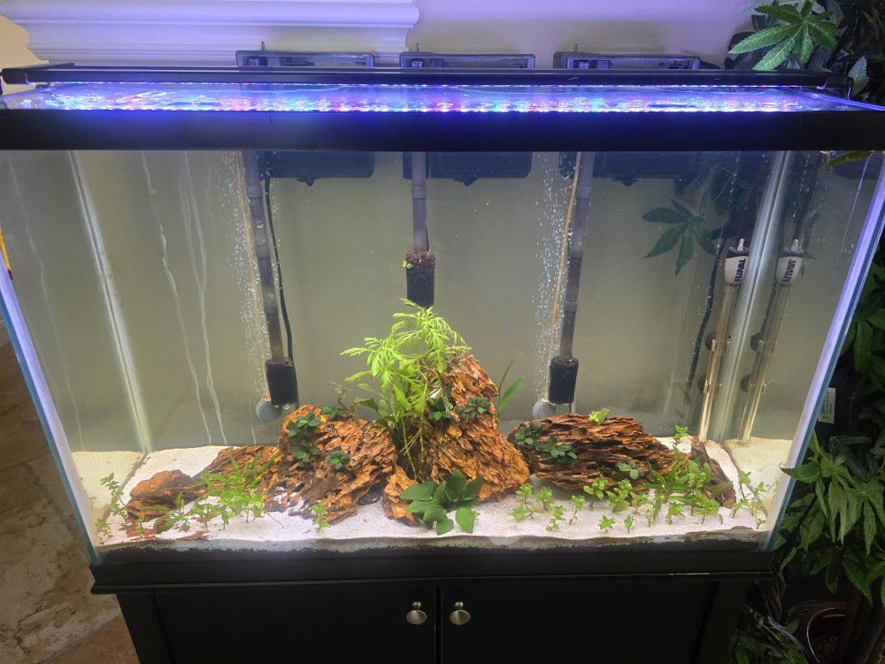 45 Gallon Aquarium Fish Tank