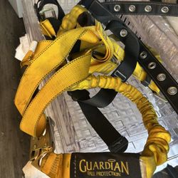 Tree Climbing Safety Harness2 Of Them 