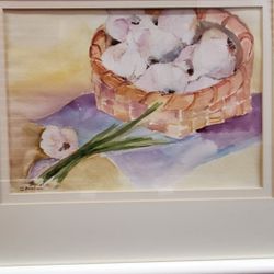 Claire Imbriani " Onion Basket " 22x18