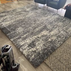 Drexel Lenox Shag Area Rug 7”10 x 10