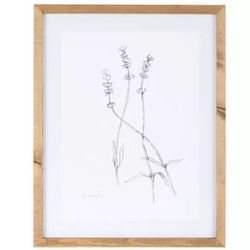 Sketched Lavender + Eucalyptus Framed Wall Decor