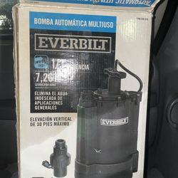 EVERBILT Water Pump 