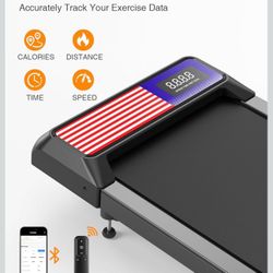 Brand New Walking Treadmill