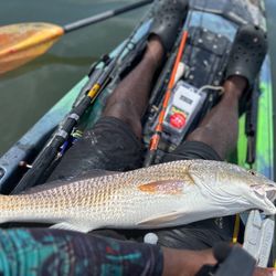 Jackson Kayak