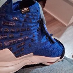 LeBrons 17 New New For The Lowest