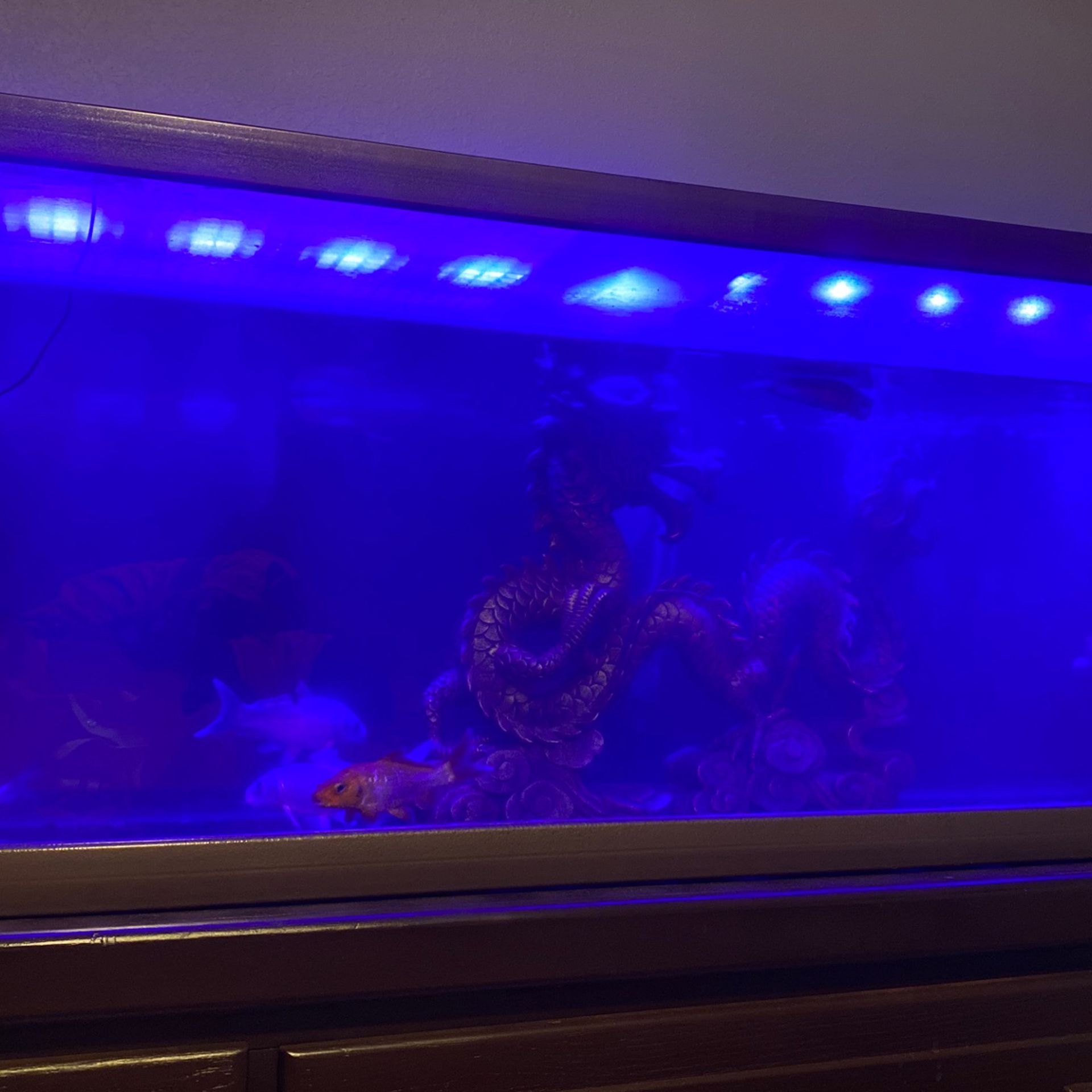 Fish Tank Decoration