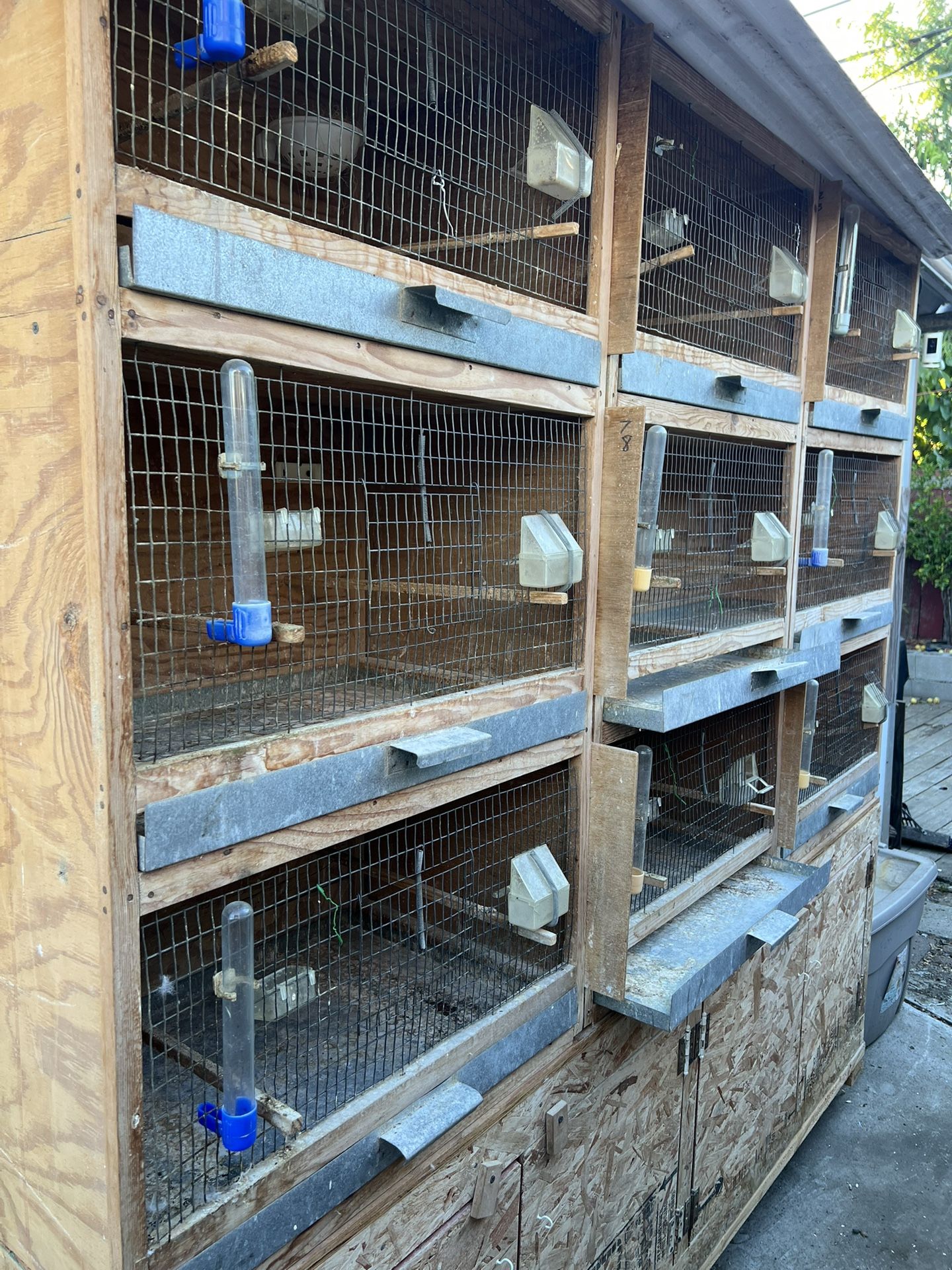 Canary Cage