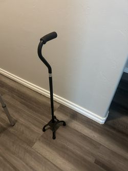 Cane