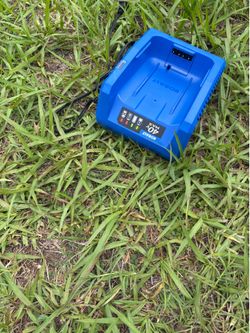 Kobalt 40v string trimmer
