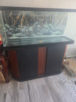 Fish tank