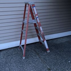 Platform Ladder