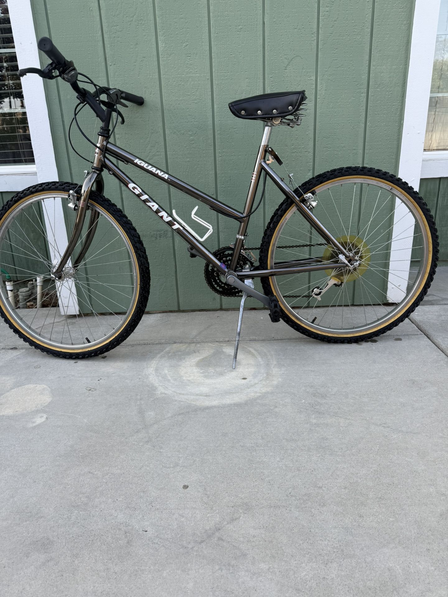 Giant Iguana mountain bike