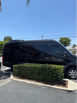 Tint for sale
