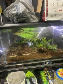 Aquarium