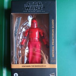 The Mandalorion Imperial Guard 