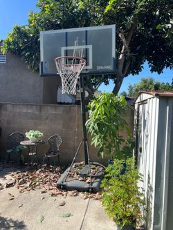 Basket Ball Court
