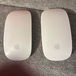 Apple Mouse's