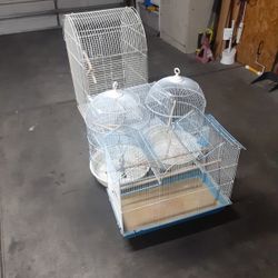 Bird Cages