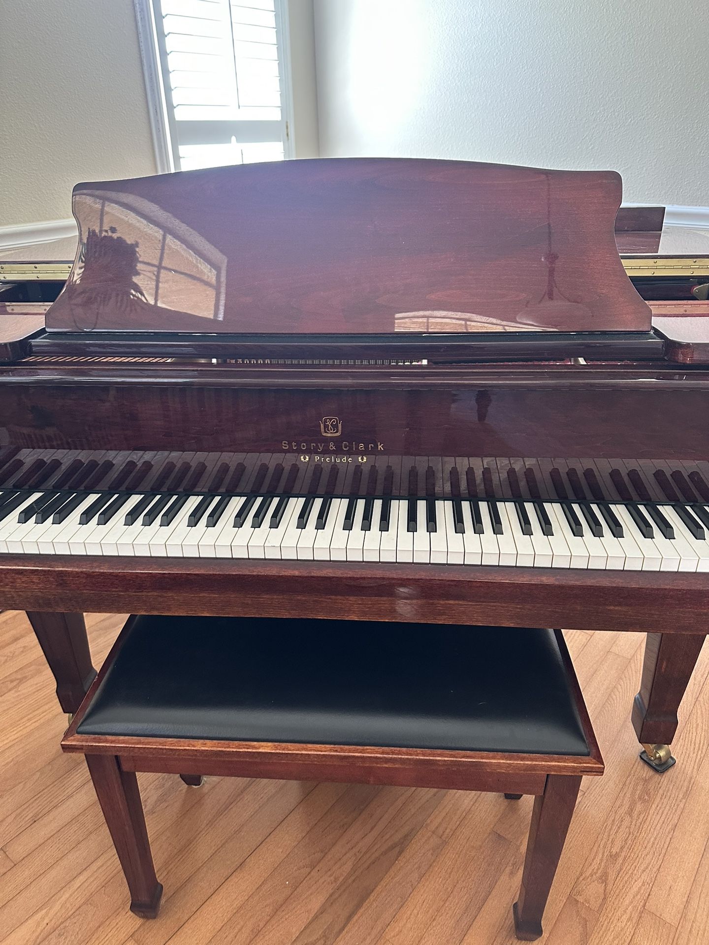 Baby Grand Story Clark Self Play Piano