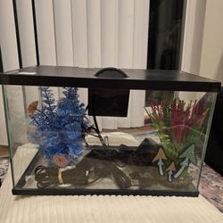 Aquarium Starter Kit – Full Set with Pump & Decorations