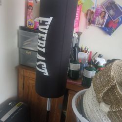 Punching Bag