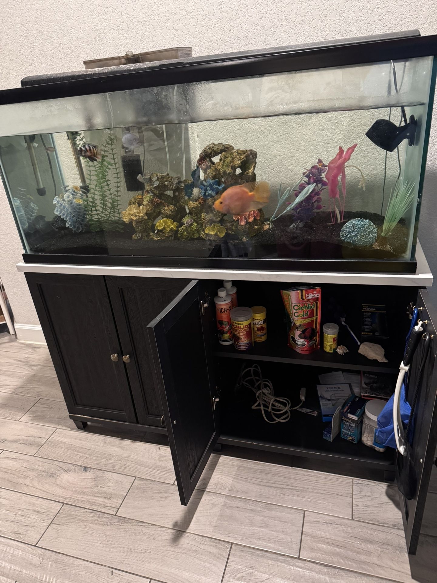 Fish Tank With Fish
