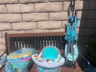 Stroller/Booster Chair