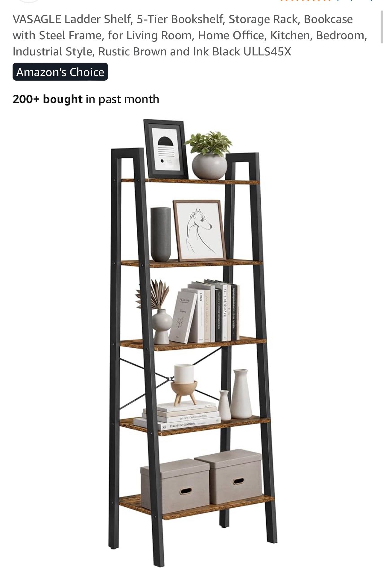 Ladder Shelf