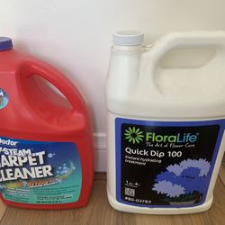 Free Carpet Cleaner & Floral Hydrating Treatment 