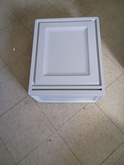 Iris  cajon