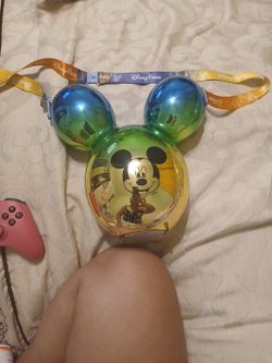Disneyland Popcorn Bucket
