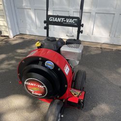 Giant Vac 6 HP Walk Behind Leaf Blower 