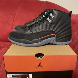 Ds Jordan Retro 12 Utility Size 10